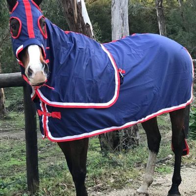 Rugs/Skinny Hoods/Bibs