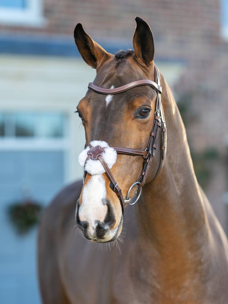 LeMieux Toy Pony Mexican Bride Marron