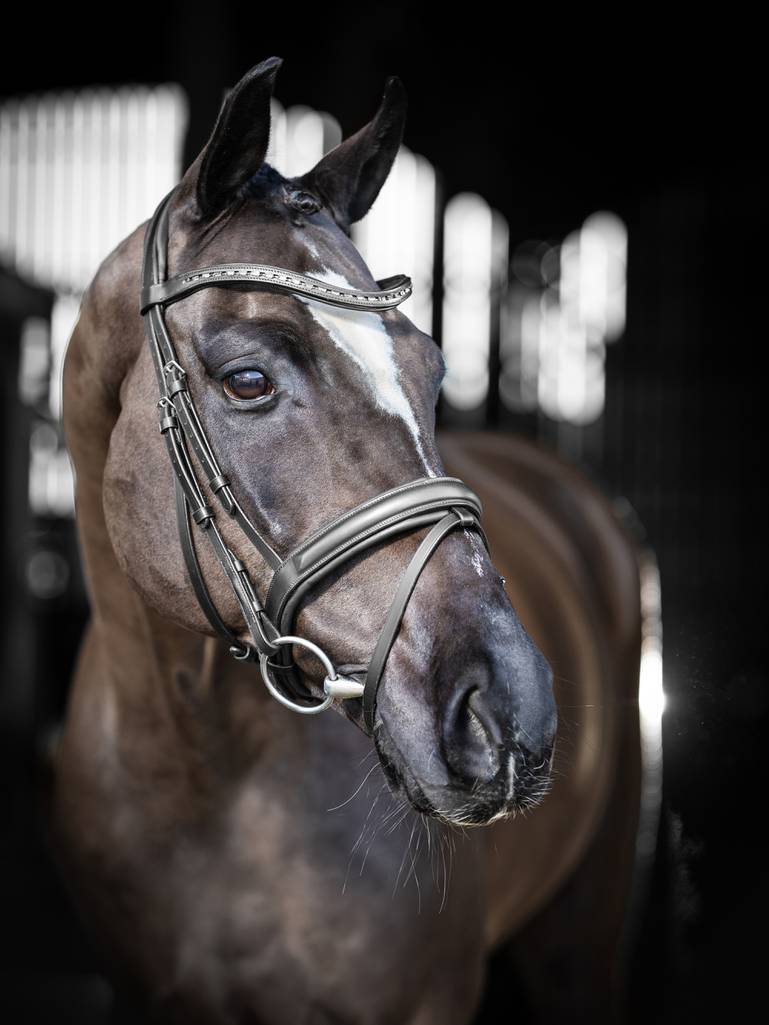 LeMieux Arika Dressage Bridle Black/Silver - Image 6