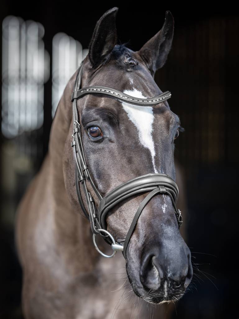 LeMieux Arika Dressage Bridle Black/Silver - Image 5