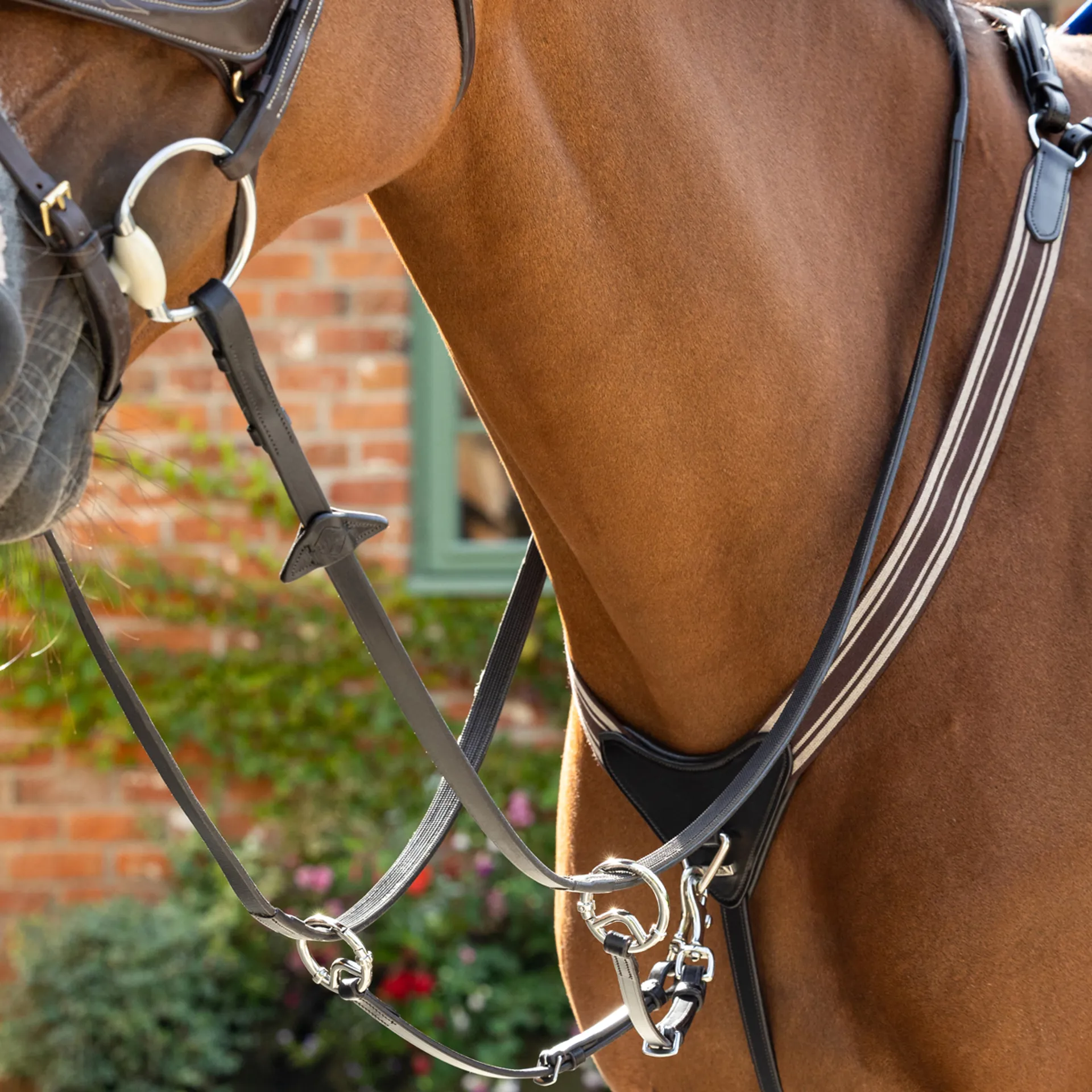 LeMieux LeMieux Arika Elasticated Breastplate - Brown/Silver - Image 4