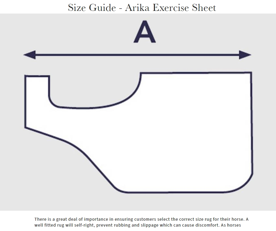 LeMieux Arika Exercise Sheet - Image 2