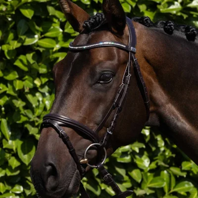 Rivere Snaffle Bridle Brown