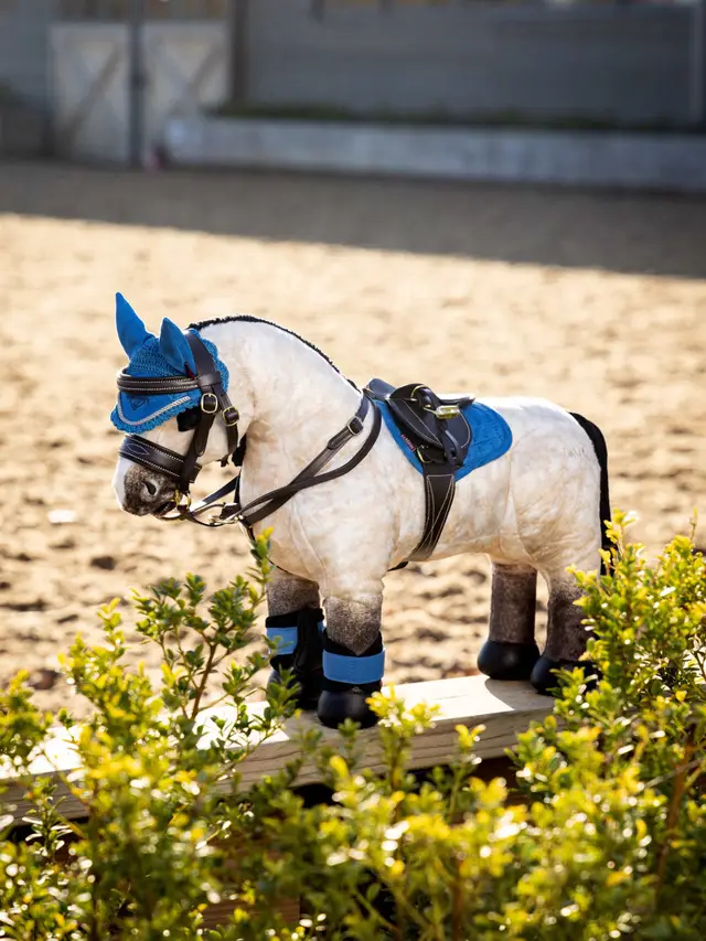 Toy Pony Dream - Image 4