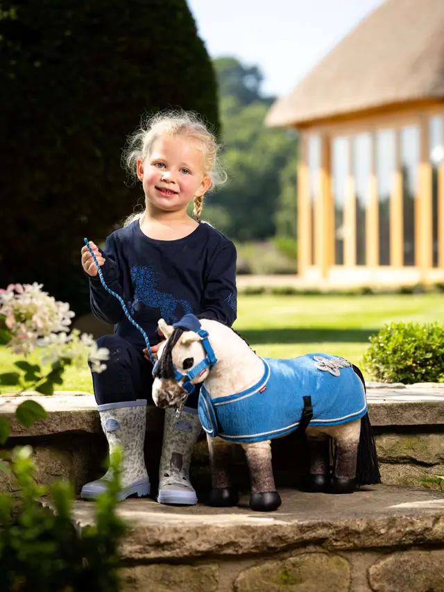 Toy Pony Dream - Image 2