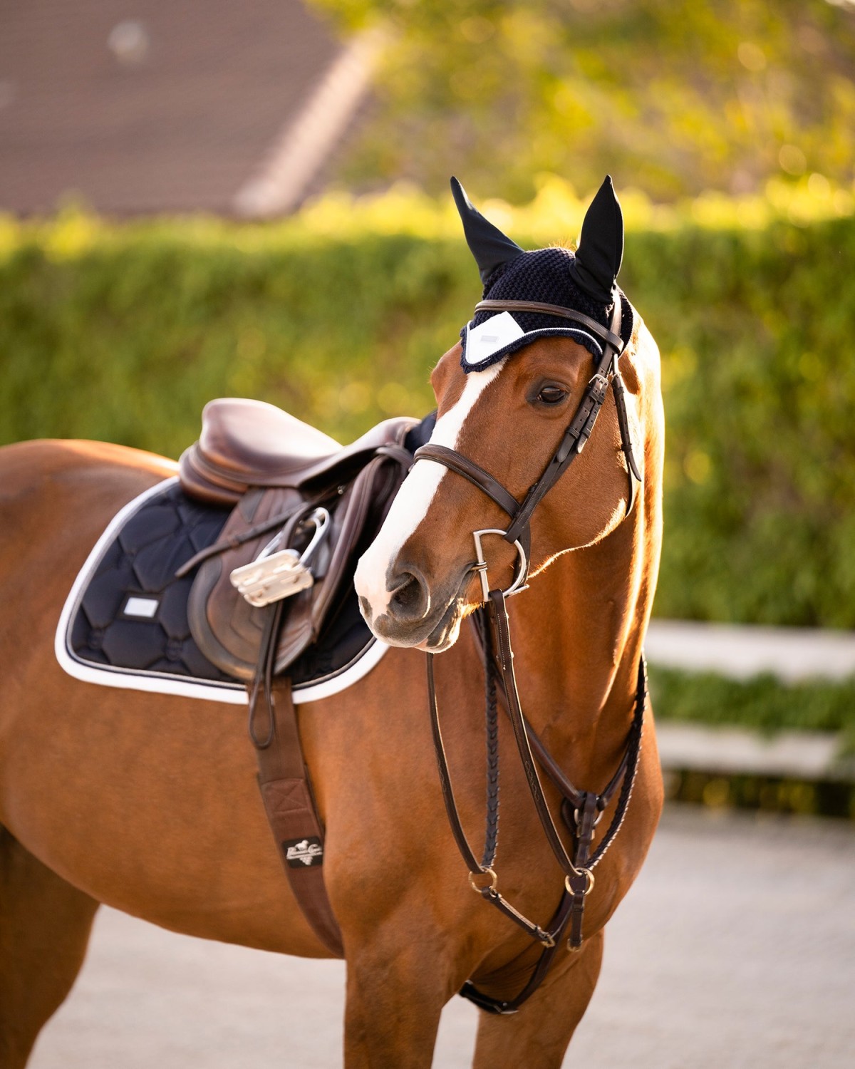 Equestrian Stockholm Jump Saddle Pad Midnight White Edge - Image 4