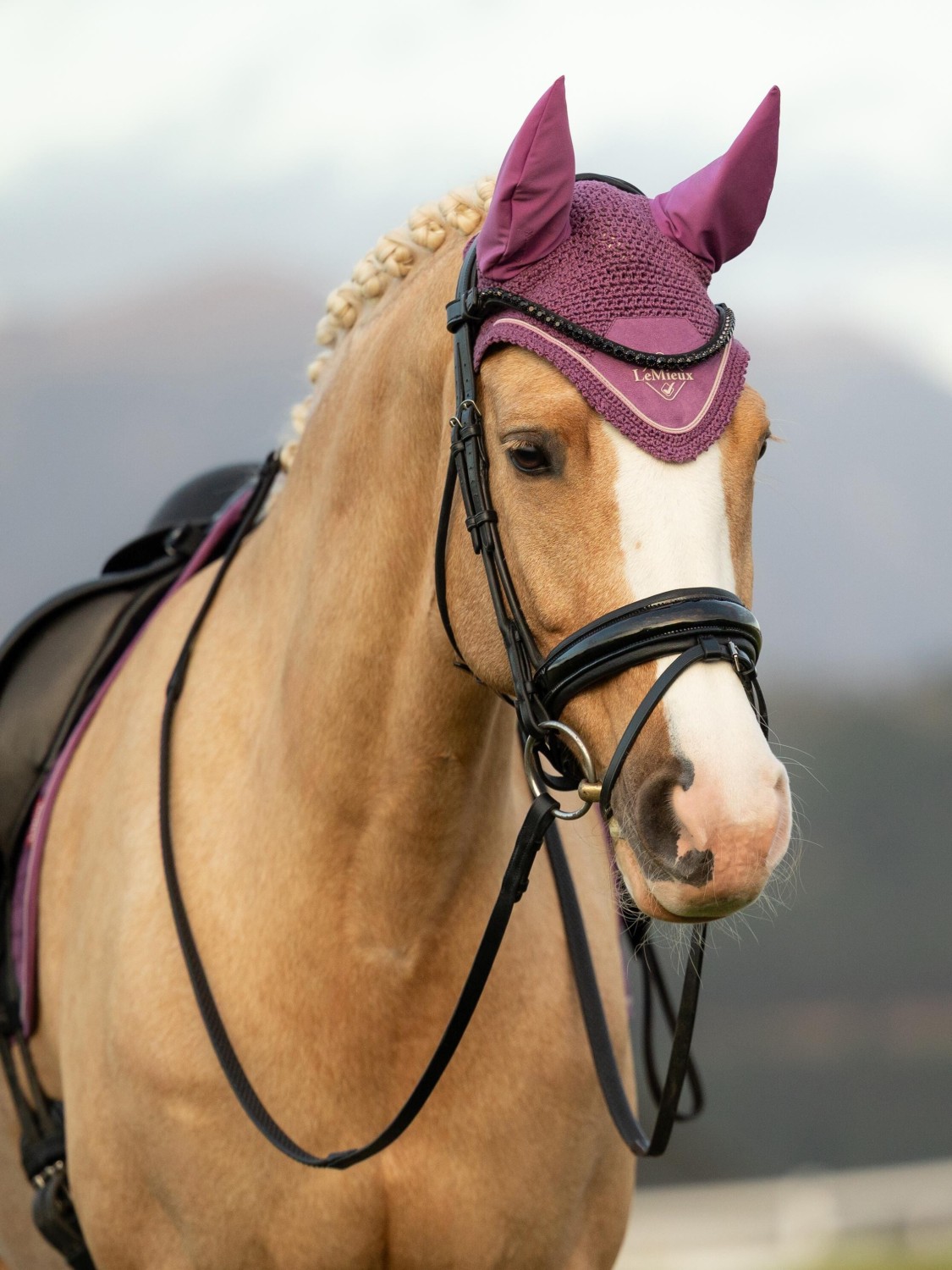 LeMieux Classic Fly Hood Mallow - Image 2