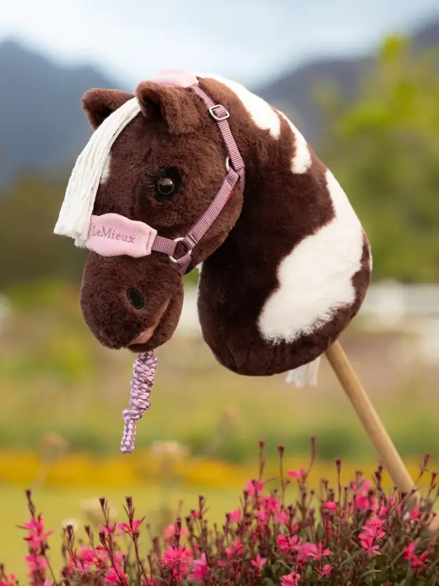 Hobby Horse Vogue Headcollar & Leadrope Mallow - Image 2