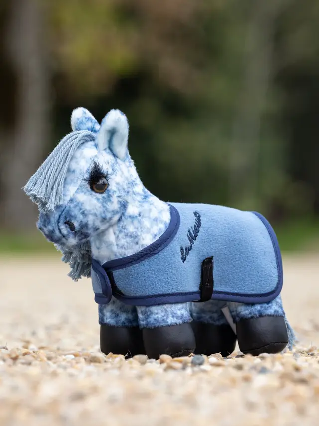 Tiny Pony Sammy