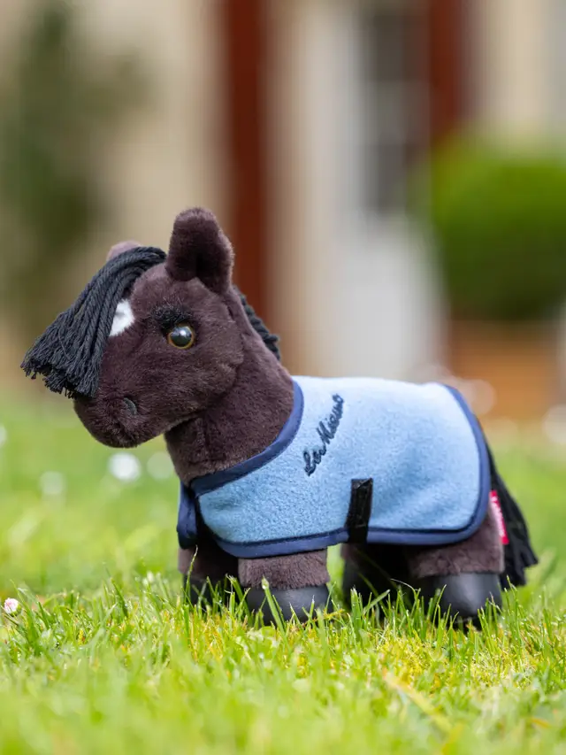 Tiny Pony Freya