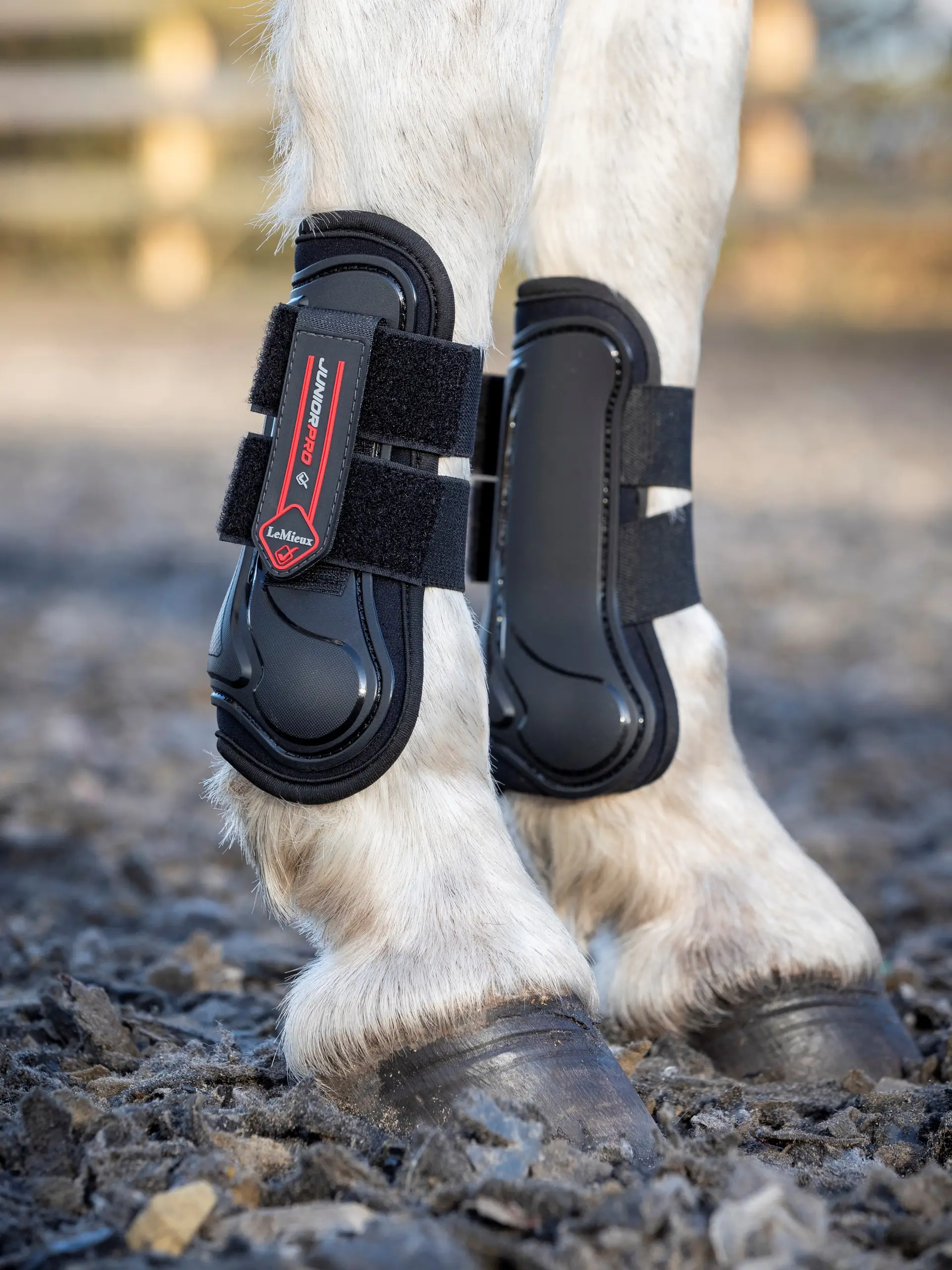 Junior Pro Tendon Boots Black - Image 2