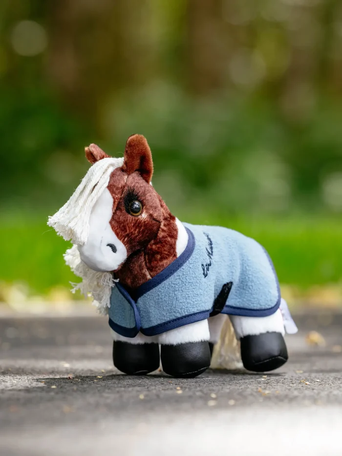 Tiny Pony Flash - Image 2
