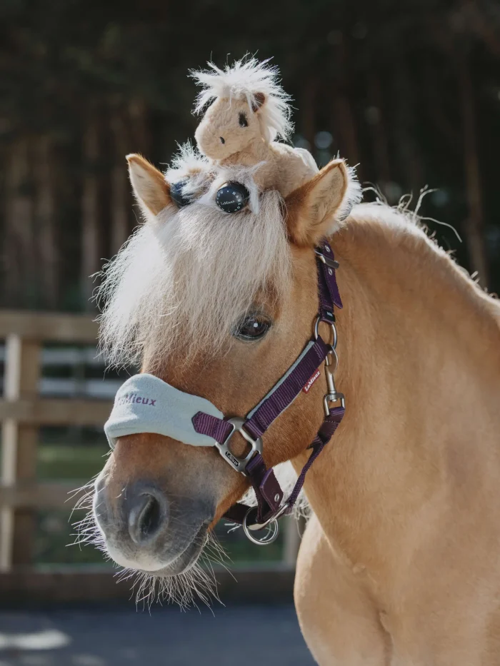 Harlow Tiny Beanie Pony Cloudy-Coming Soon - Image 2