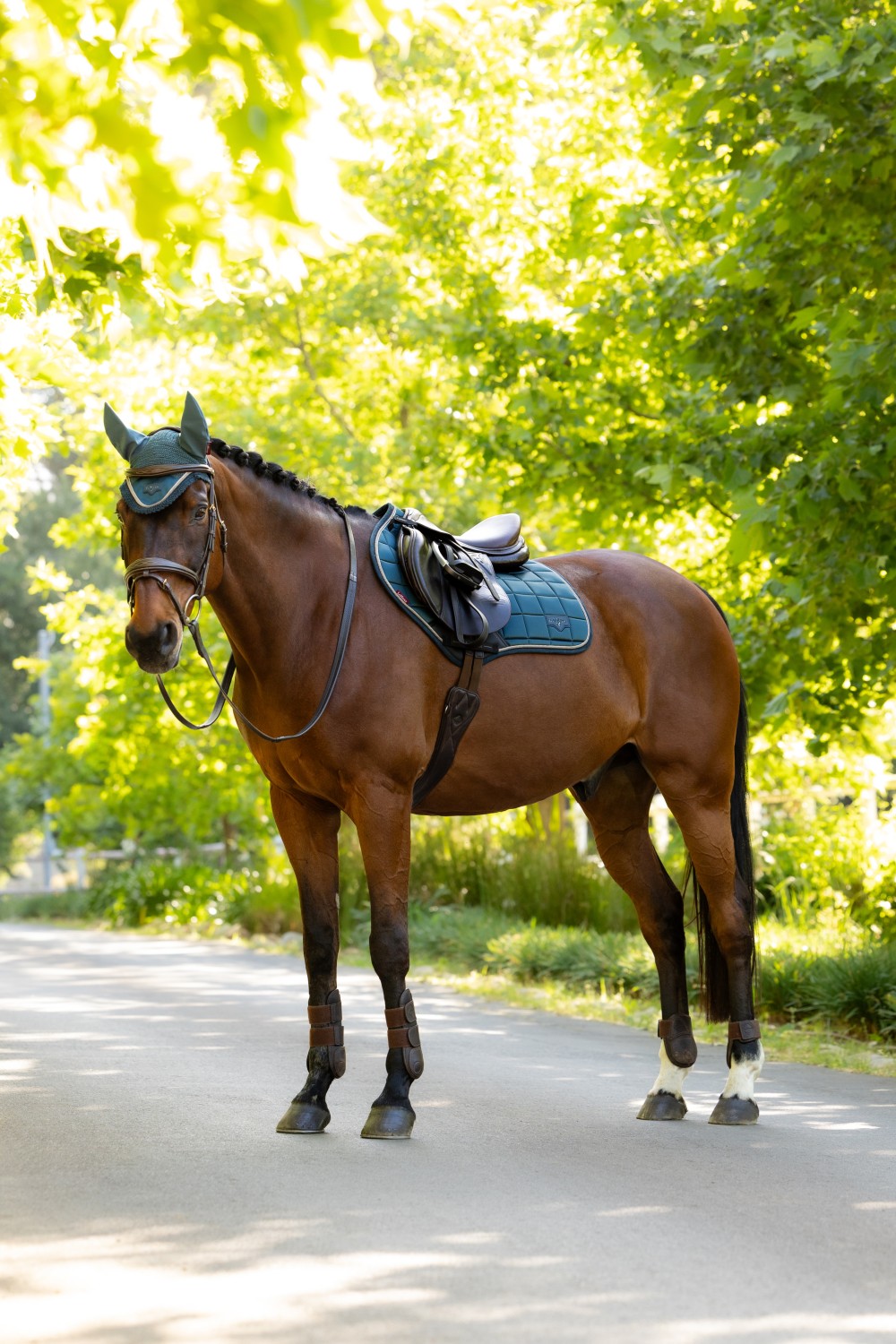 LeMieux Loire Classic Close Contact Square Jungle - Image 6
