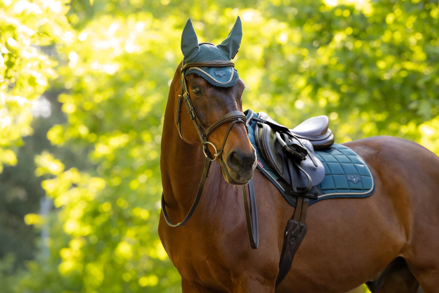 LeMieux Loire Classic Close Contact Square Jungle - Image 5