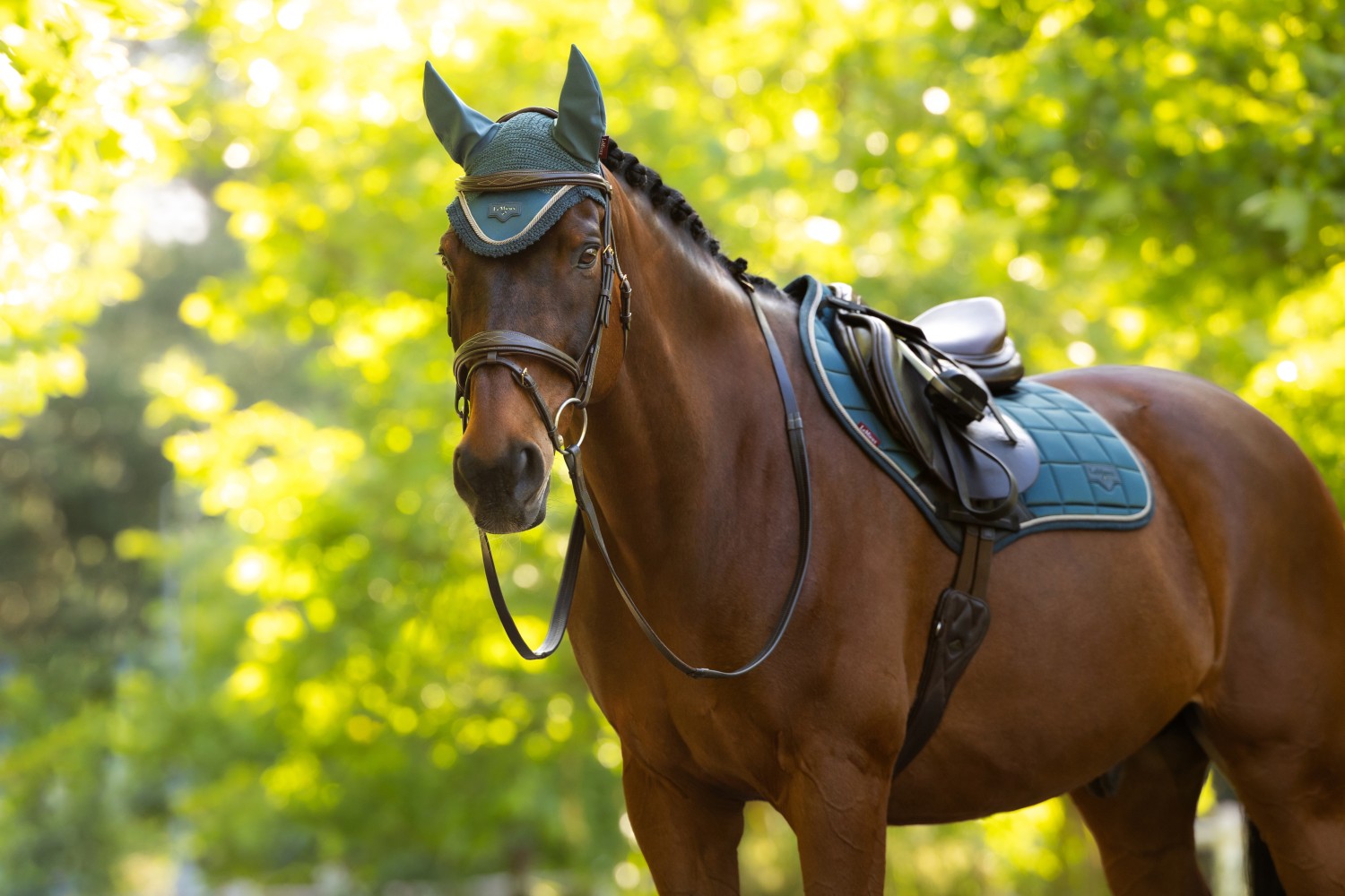 LeMieux Loire Classic Close Contact Square Jungle - Image 3