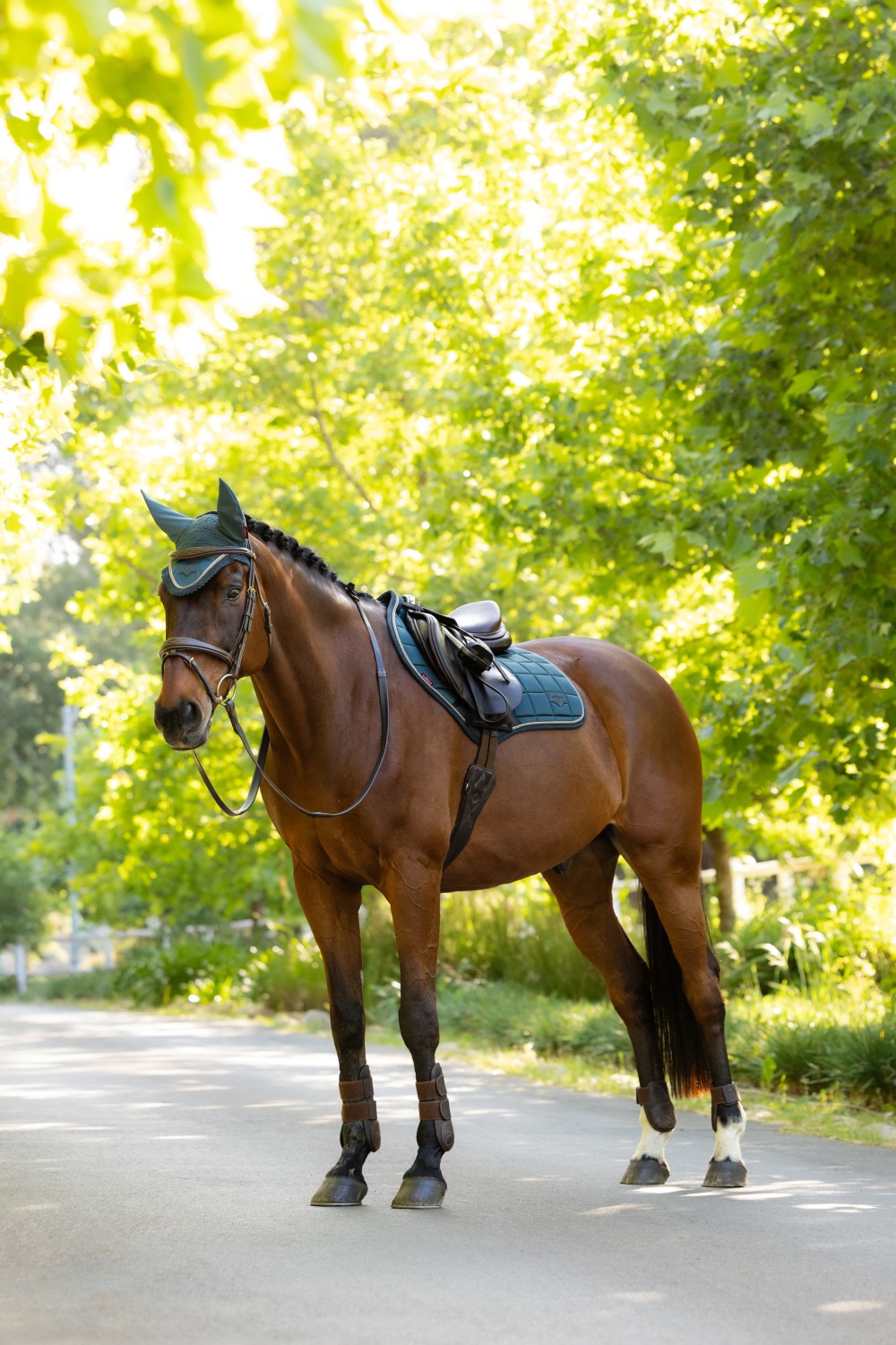LeMieux Loire Classic Close Contact Square Jungle - Image 4