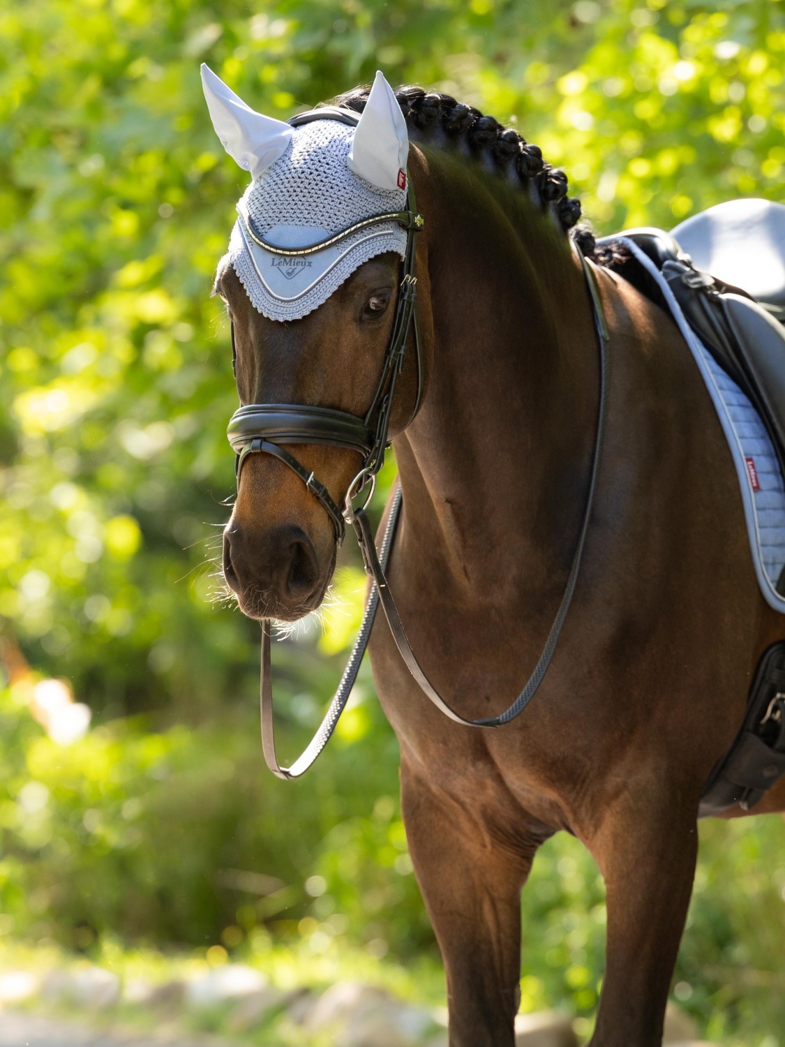 LeMieux Classic Fly Hood Powder Blue - Image 2