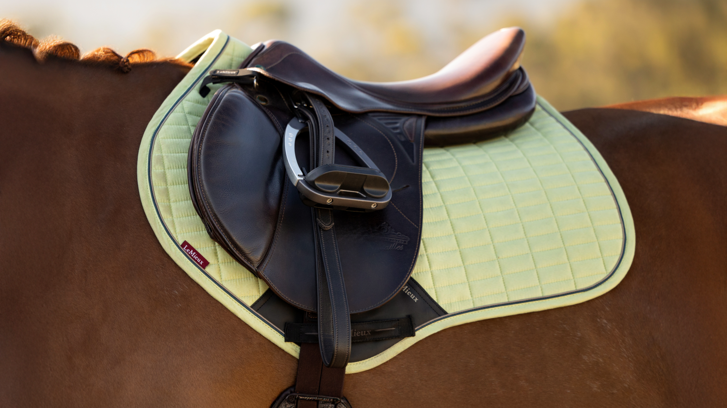 LeMieux New Suede Close Contact Square Macaron - Image 4