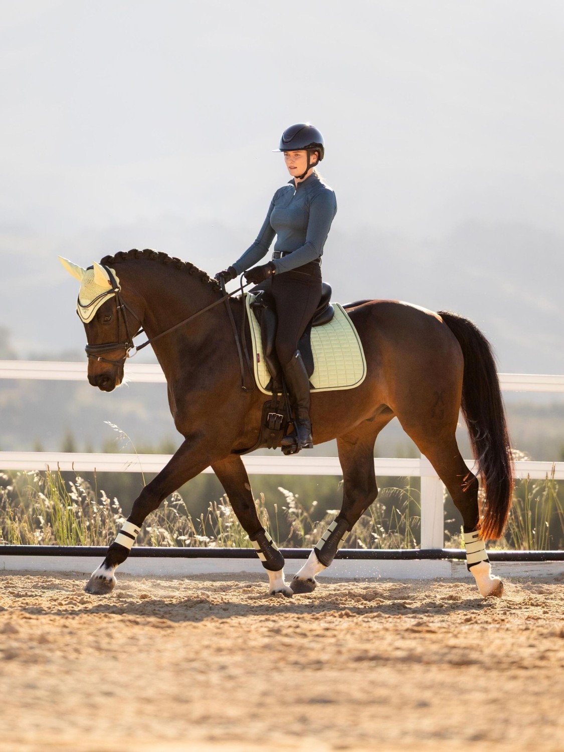 LeMieux Suede Dressage Square Macaron - Image 4