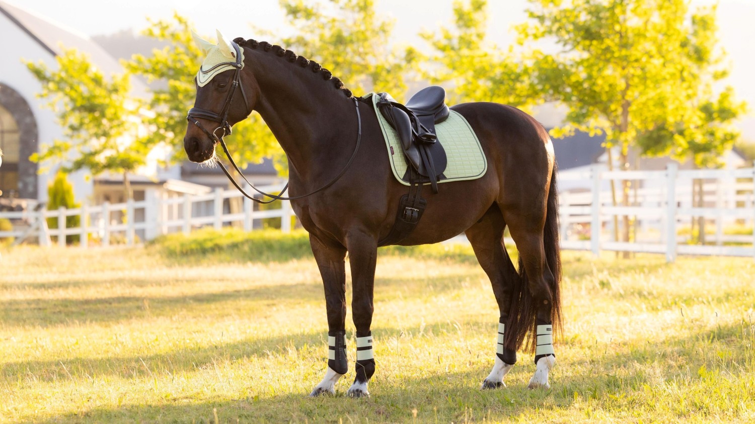 LeMieux Suede Dressage Square Macaron - Image 2