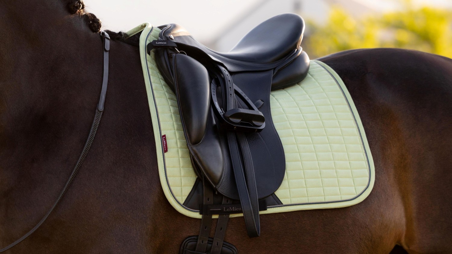 LeMieux Suede Dressage Square Macaron - Image 3