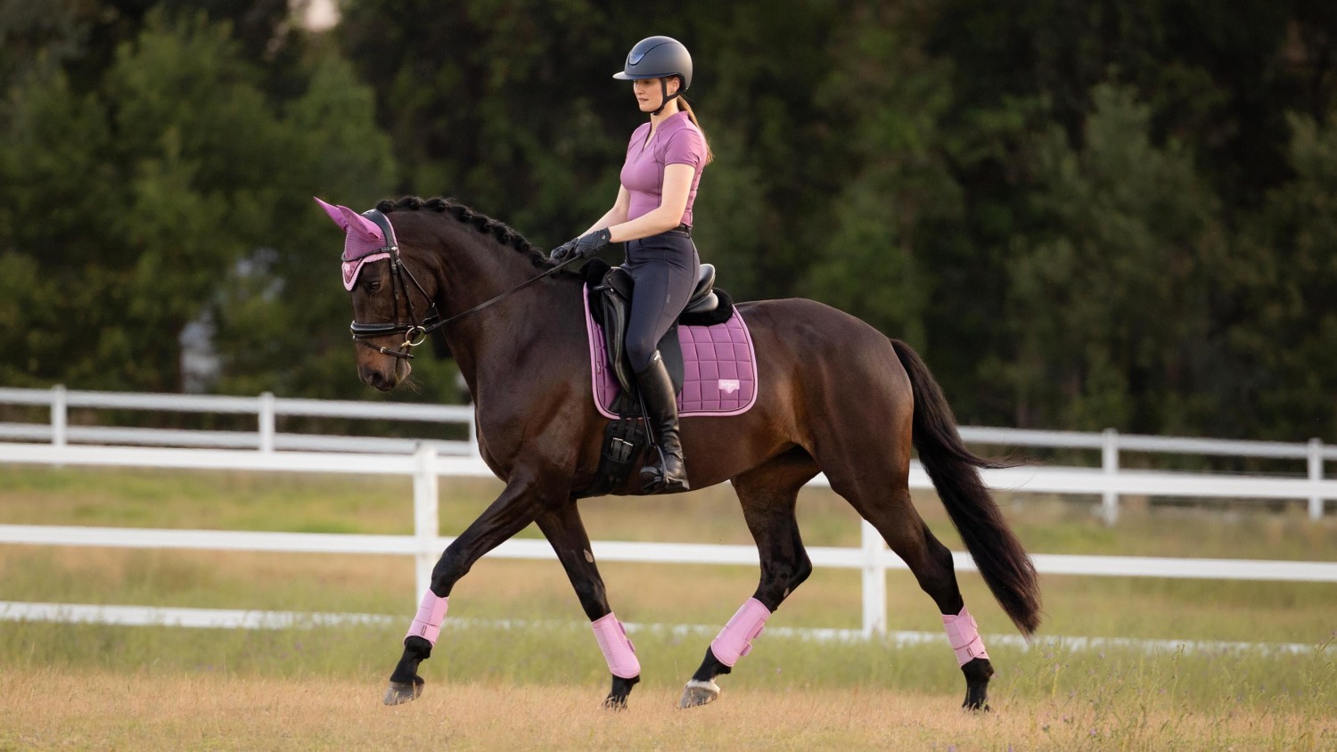 LeMieux New Loire Classic Dressage Square Mallow - Image 2