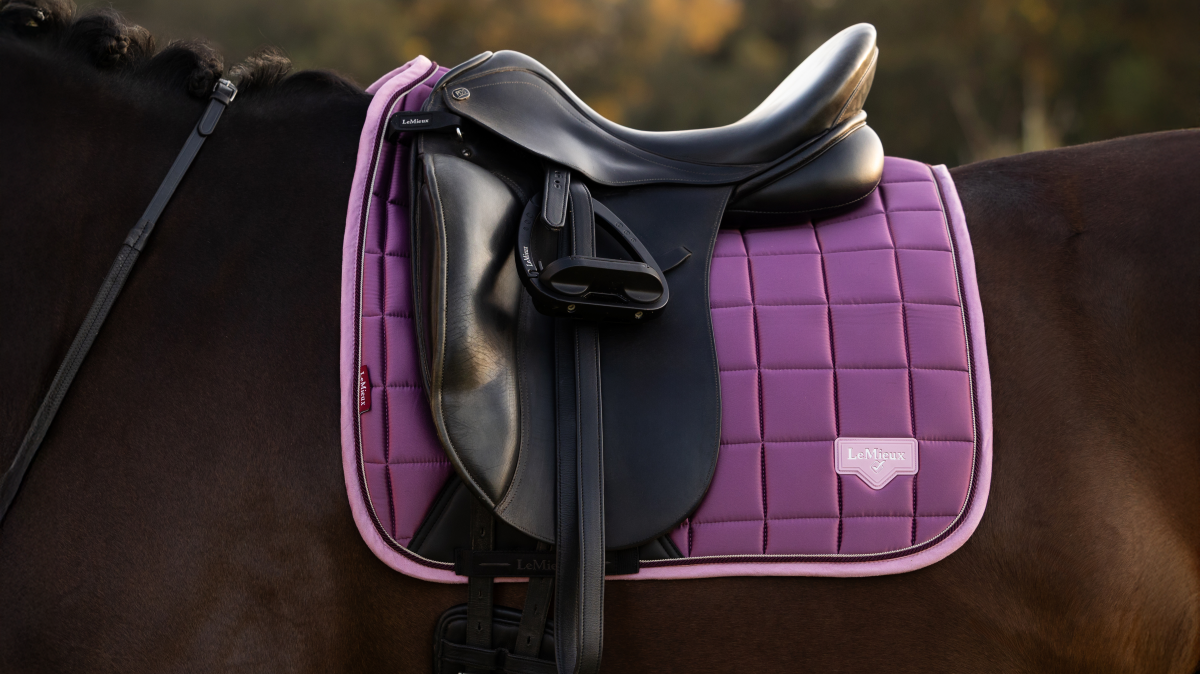 LeMieux New Loire Classic Dressage Square Mallow - Image 4
