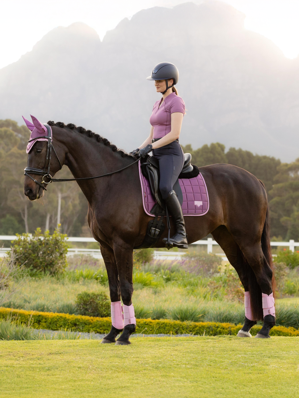 LeMieux New Loire Classic Dressage Square Mallow - Image 3