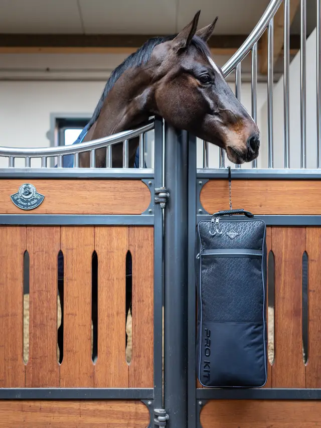 LeMieux Elite Pro Bridle Bag Black - Image 4