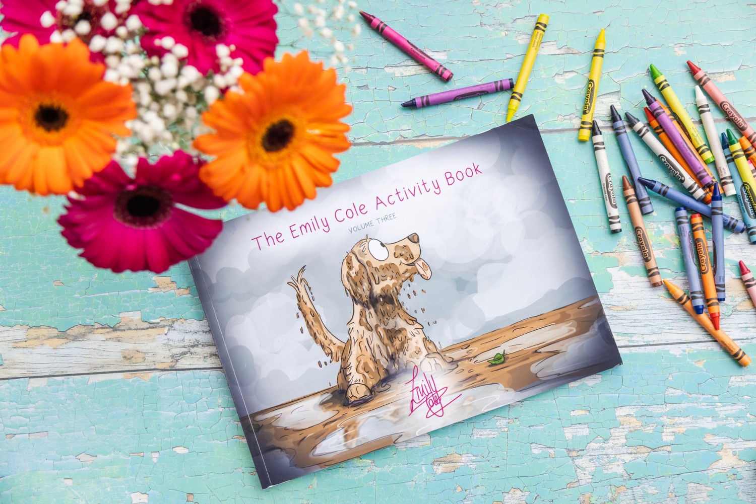The Emily Cole Activity Book – Volume Three