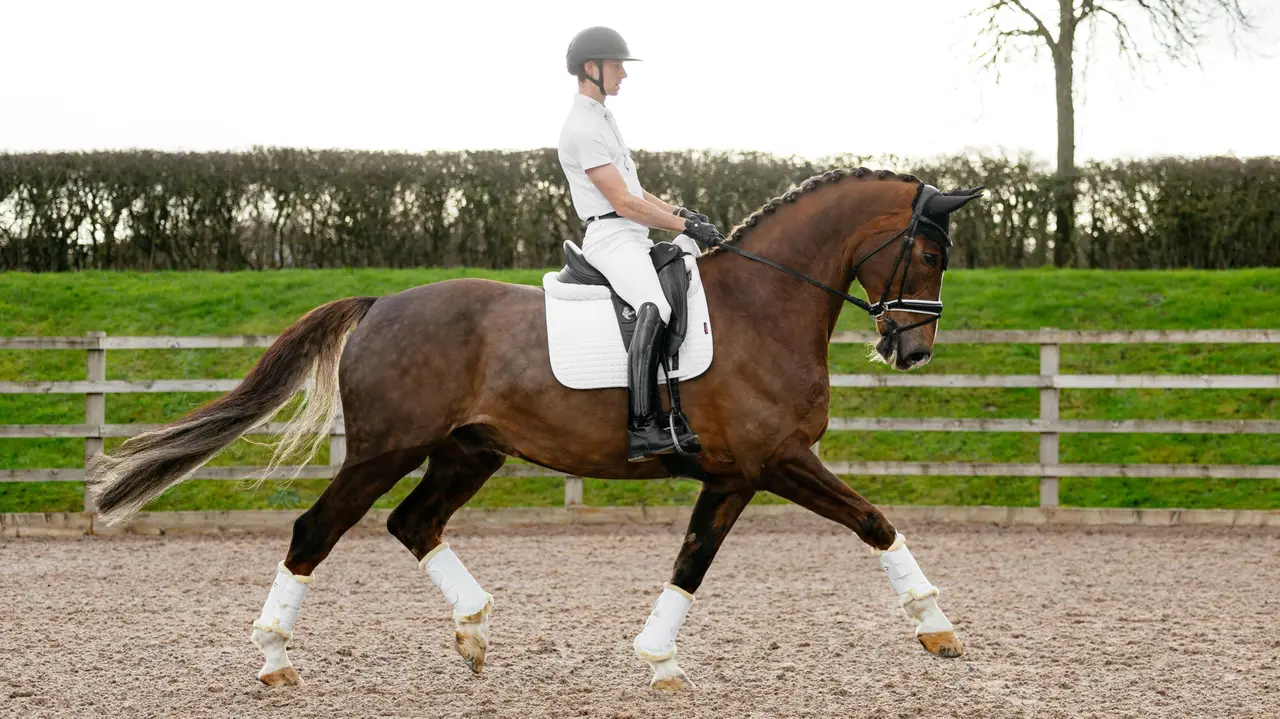 LeMieux Suede Dressage Square White-Large(Full Size) - Image 4