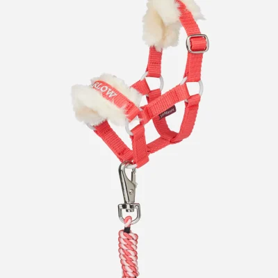 Harlow Toy Pony Headcollar & Leadrope Coral Crush
