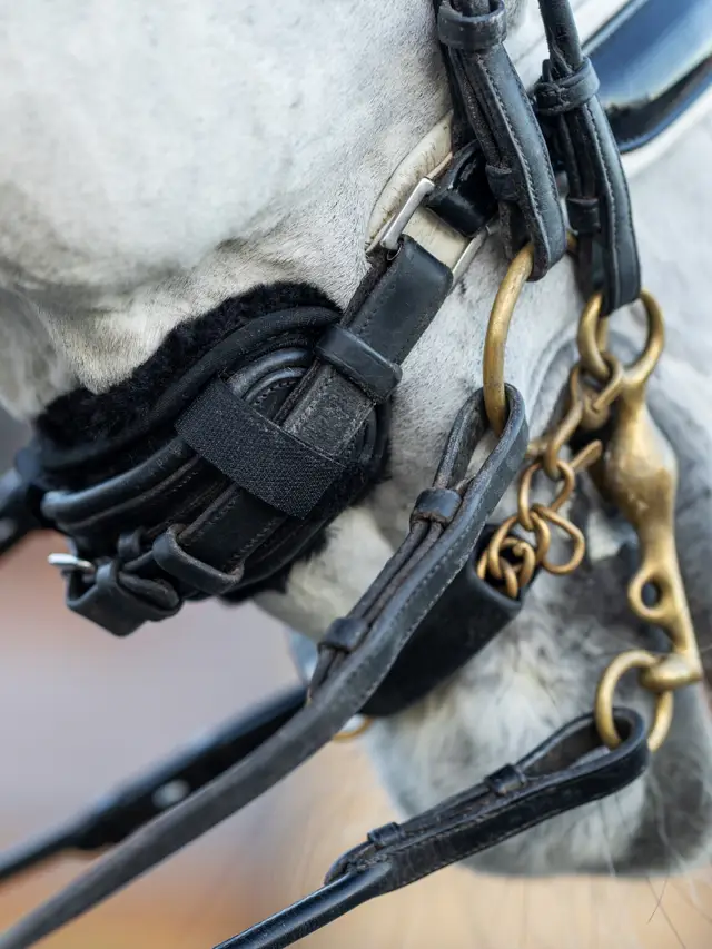Simuwool Chin/Noseband Guard Black - Image 2