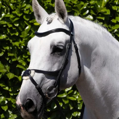 Glorioso Grackle Bridle Black