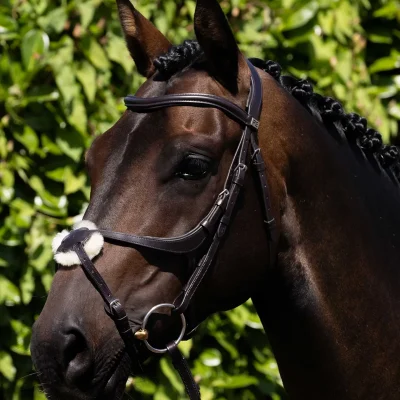 Glorioso Grackle Bridle Brown