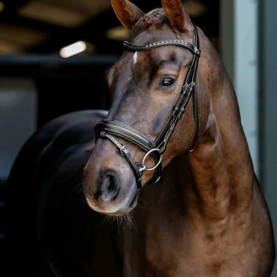 Arika Anatomic Dressage Bridle Black/Silver