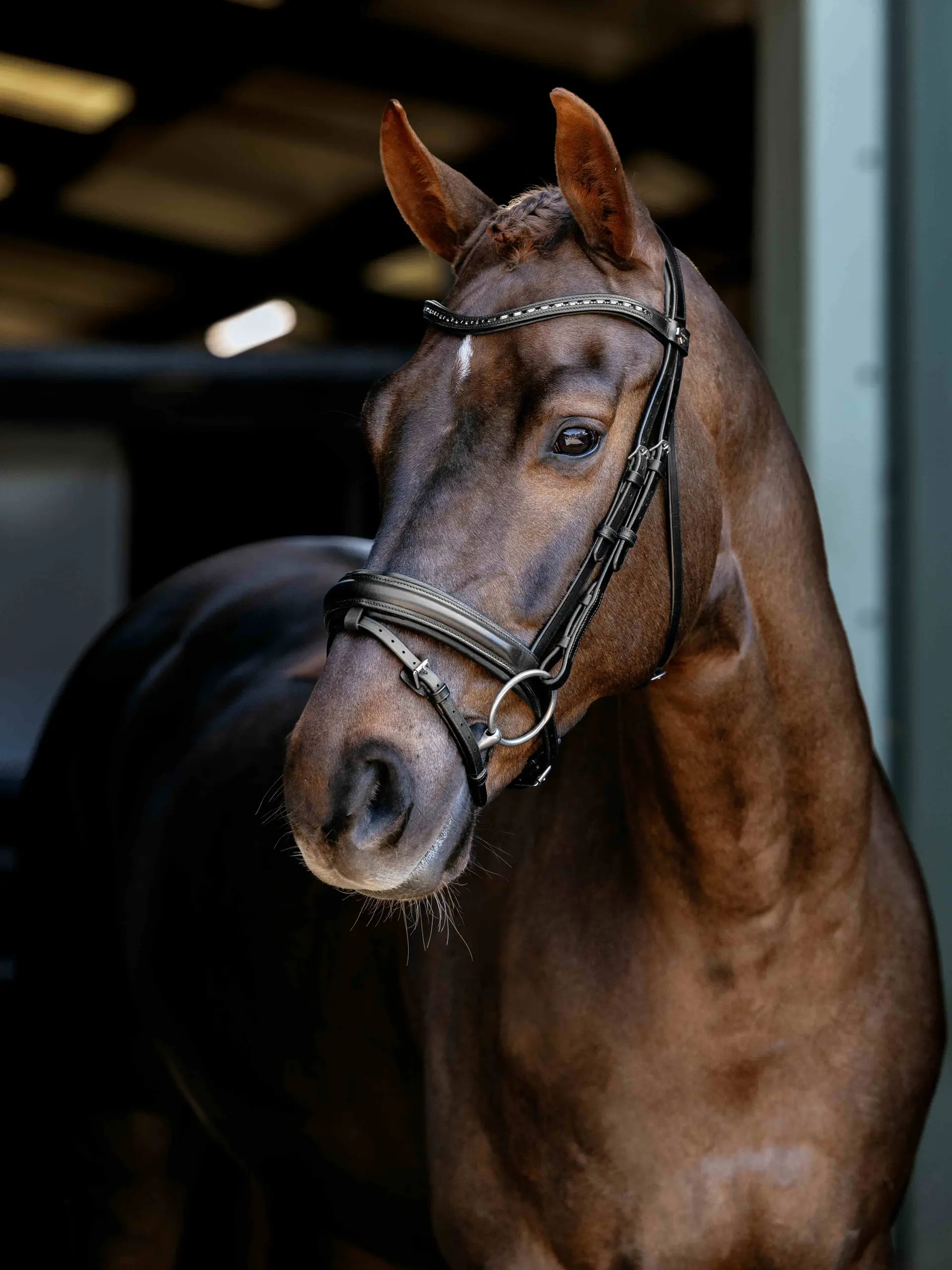 Arika Anatomic Dressage Bridle Black/Silver