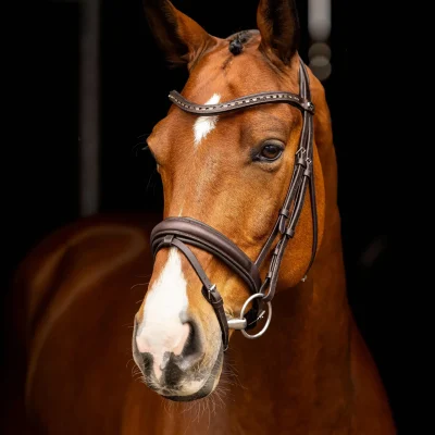 Arika Anatomic Dressage Bridle Brown/Silver