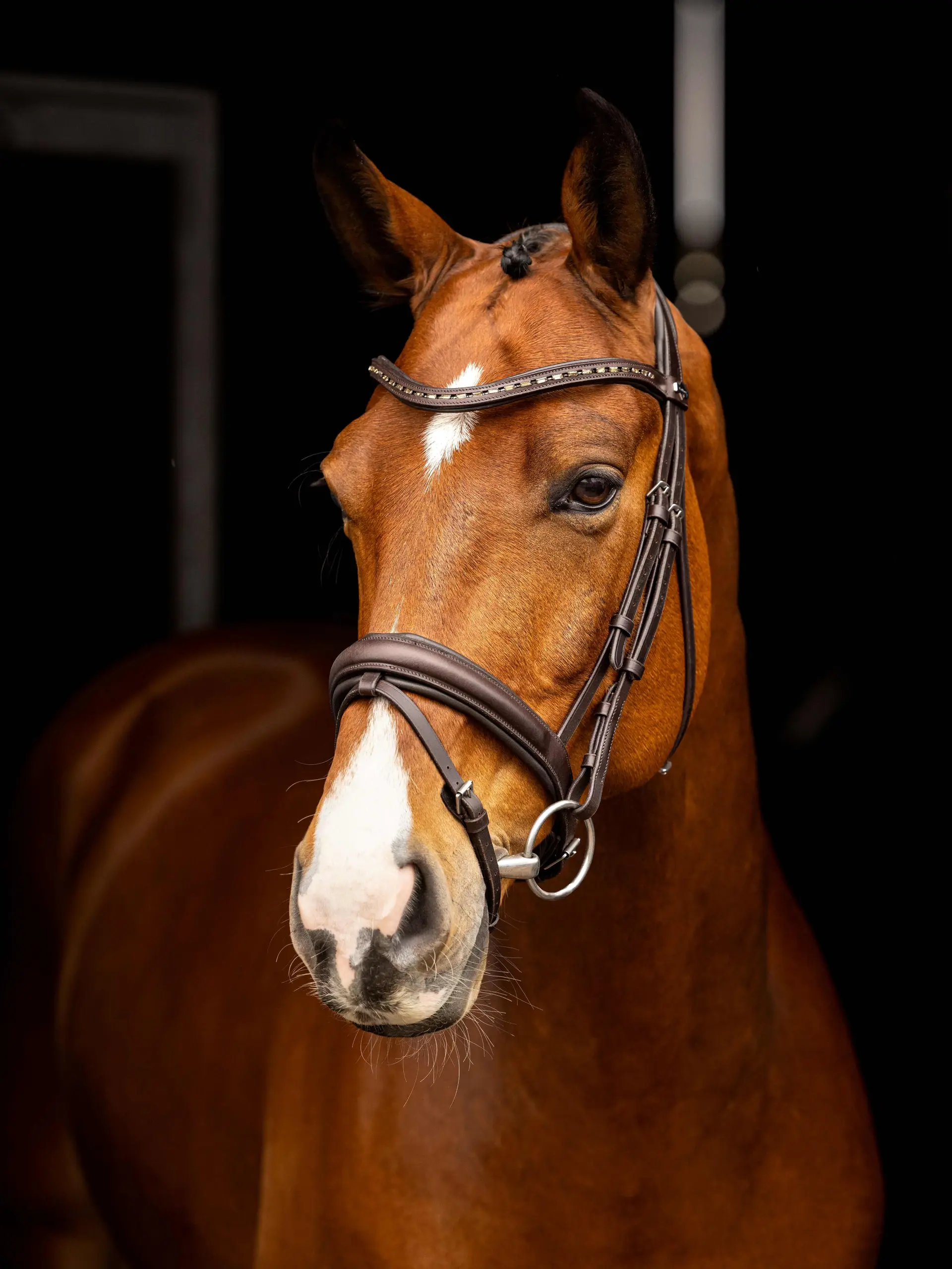 Arika Anatomic Dressage Bridle Brown/Silver