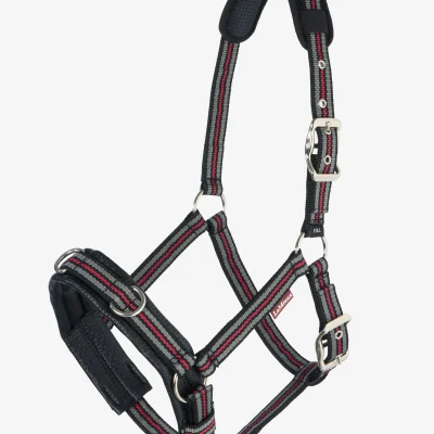 Cavesson Lunge Headcollar Black