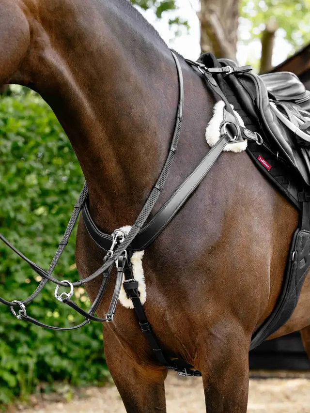 Kudos 5 Point Bridge Breastplate Black - Image 4