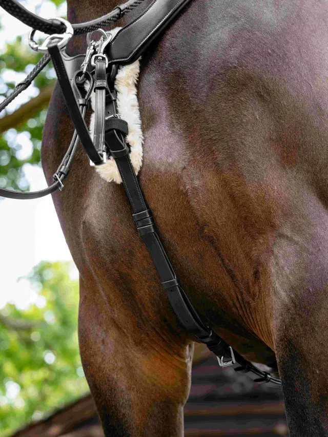 Kudos 5 Point Bridge Breastplate Black - Image 3