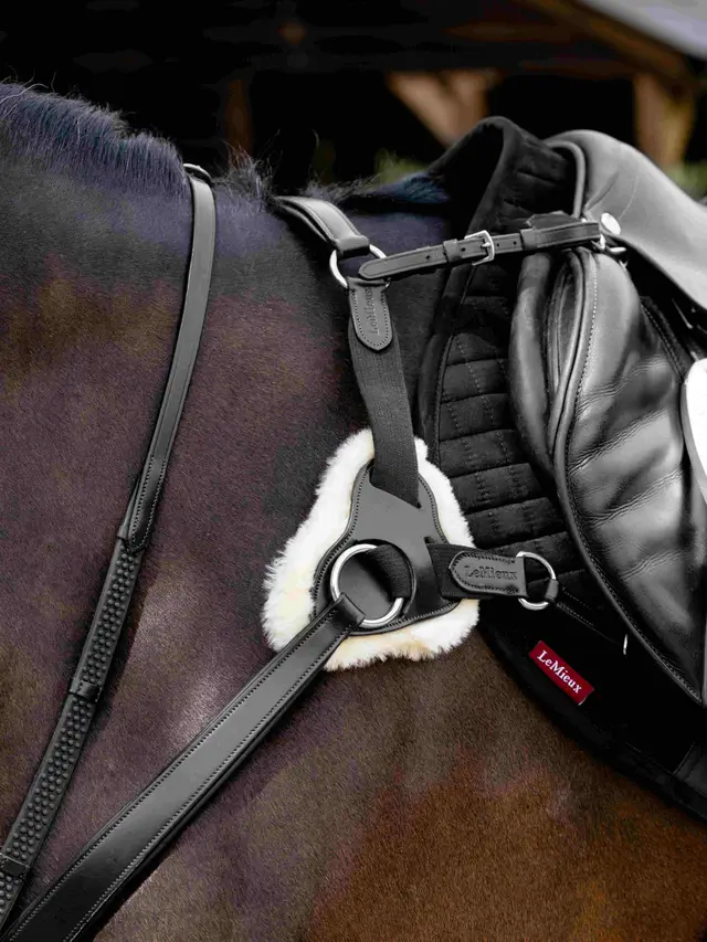 Kudos 5 Point Bridge Breastplate Black - Image 2