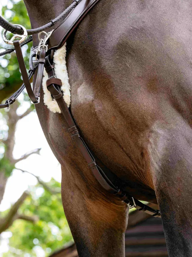 Kudos 5 Point Bridge Breastplate Havana - Image 3