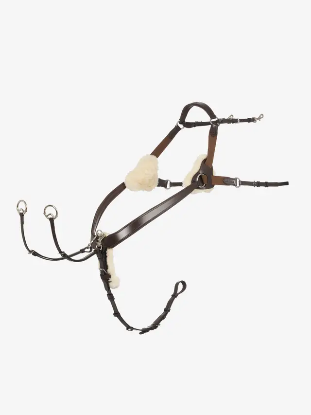 Kudos 5 Point Bridge Breastplate Havana