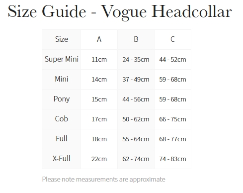 New Vogue Headcollar & Leadrope Blackberry - Image 4