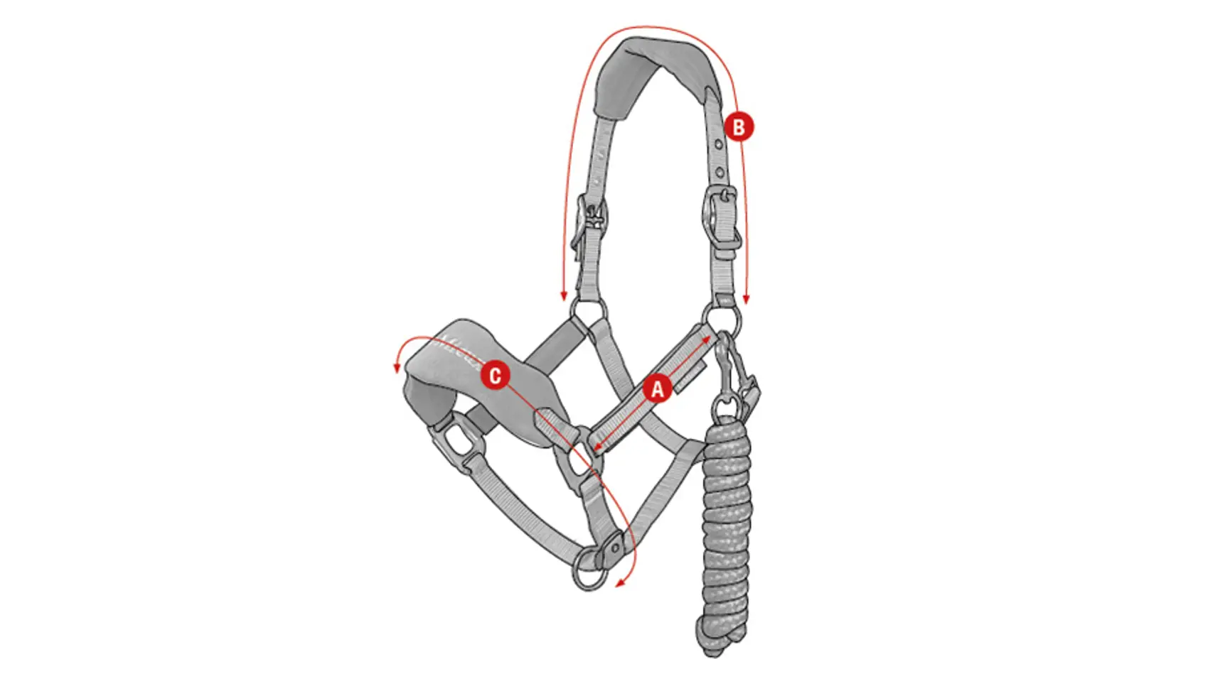 New Vogue Headcollar & Leadrope Blackberry - Image 5