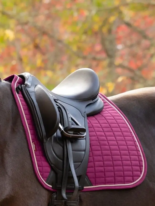 Suede Dressage Square Blackberry - Image 4