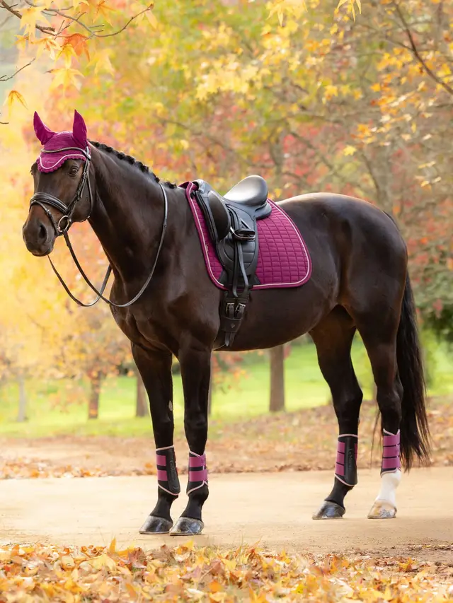 Suede Dressage Square Blackberry - Image 2